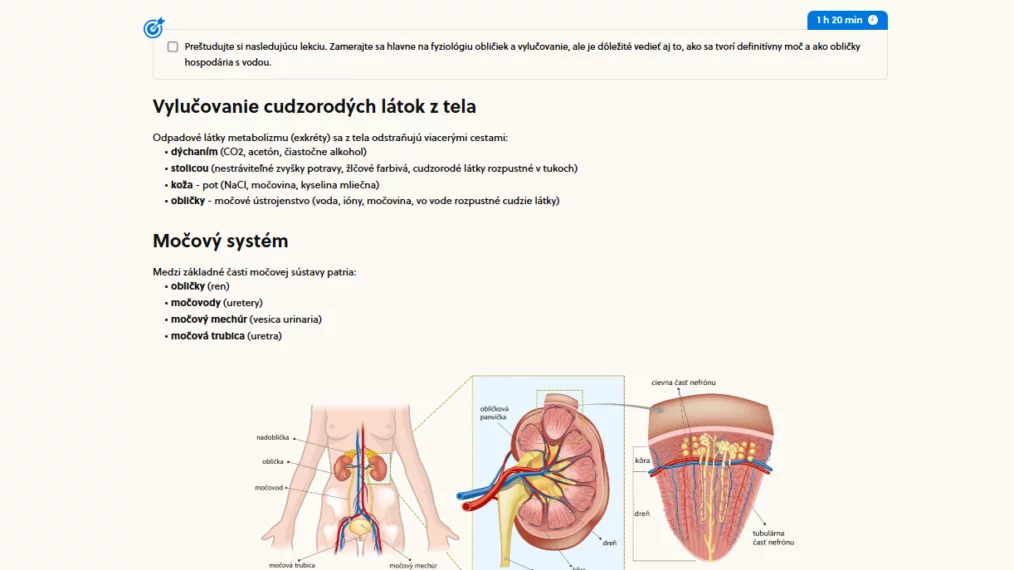Ukázka studijního materiálu v&nbsp;e-learningu Bmedic na téma vylučovací a&nbsp;močový systém v&nbsp;přípravném kurzu na slovenské lékařské fakulty.