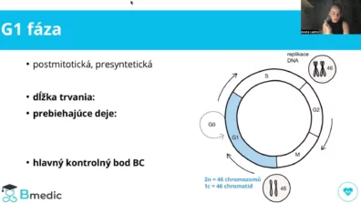 Ukázka online lekce s&nbsp;výkladem lektorky Bmedic k&nbsp;tématu G1 fáze buněčného cyklu.